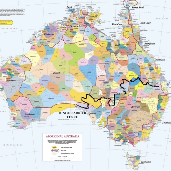 Representing The Dingo – Part 4