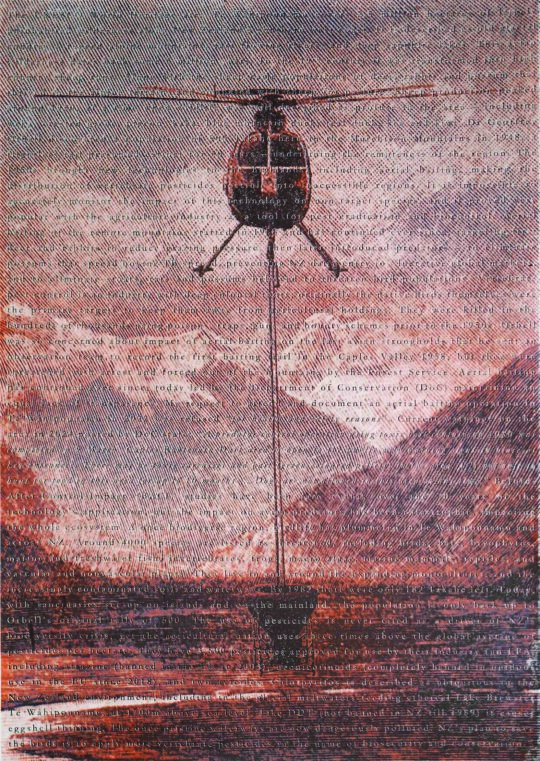 Te Wåhipounamu 2024