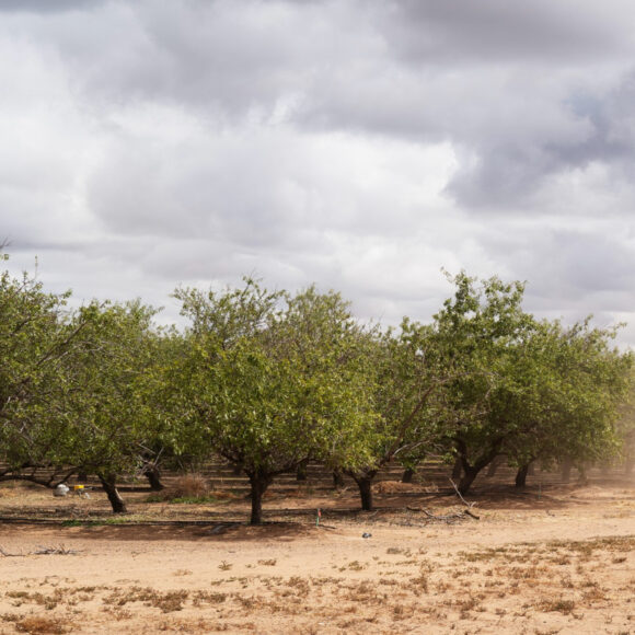 Mildura A View to a Kill