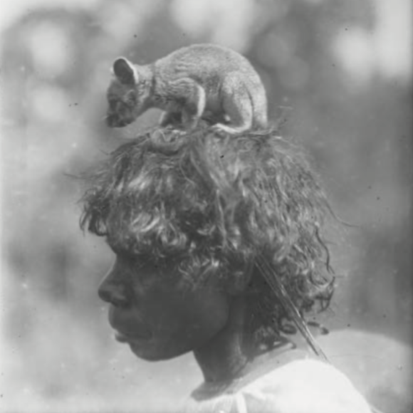 Walking the Thylacine