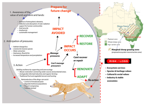 the_dingo_barrier The Dingo Barrier Fence
