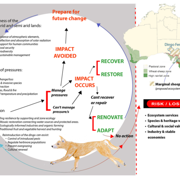 The Dingo Barrier Fence