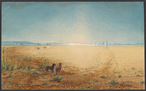 waterfinders The Waterfinders – Australian Zoologist