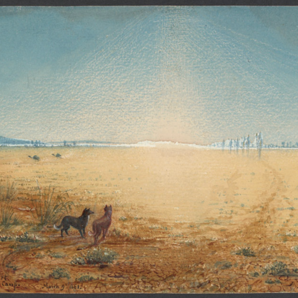 The Waterfinders – Australian Zoologist