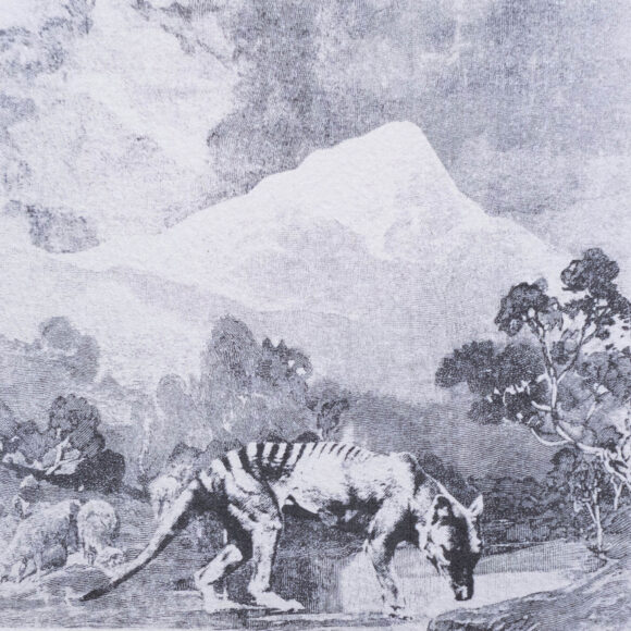 Museum of Monoculture